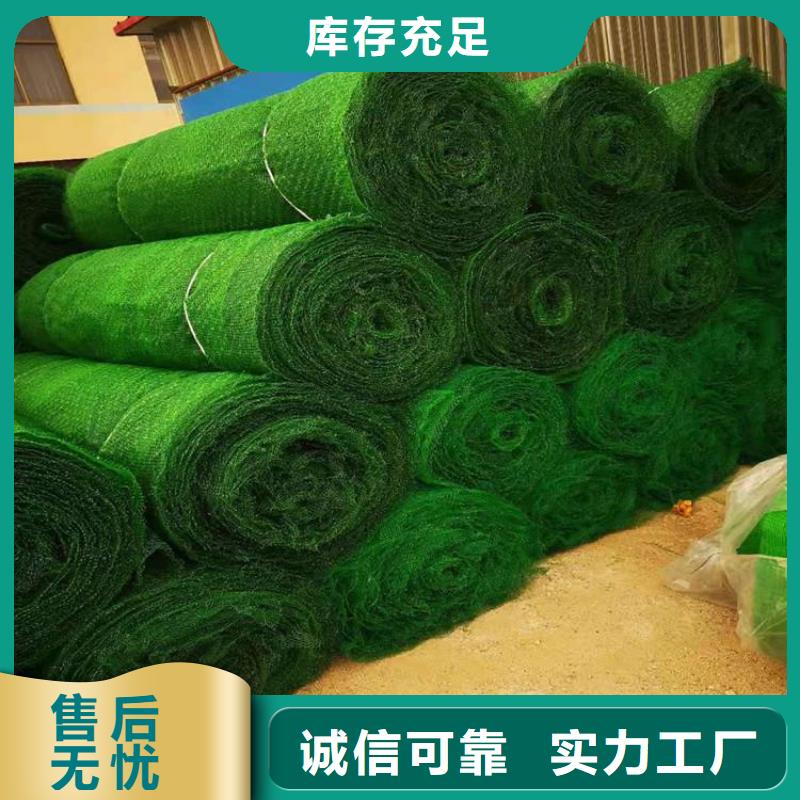 三维植被网拉筋带安心购