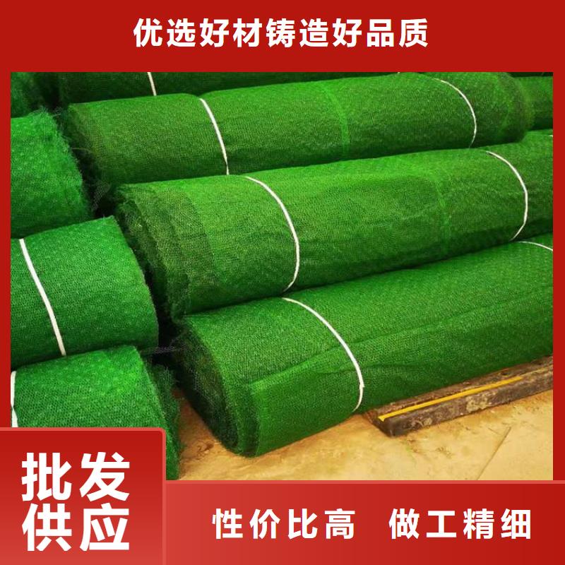 EM3三维加筋网垫