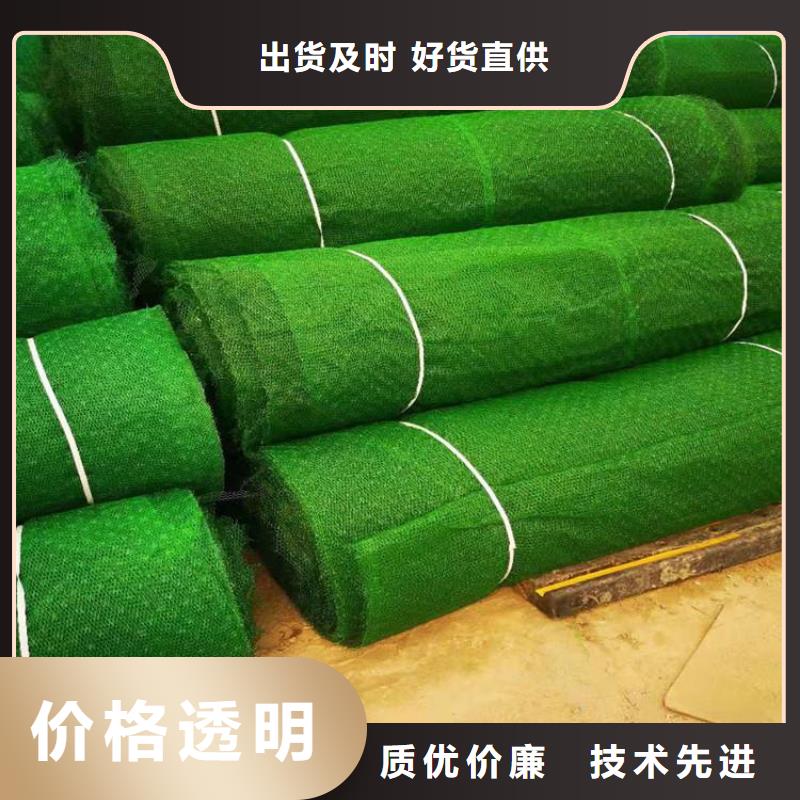 EM5三维加筋网垫办事处