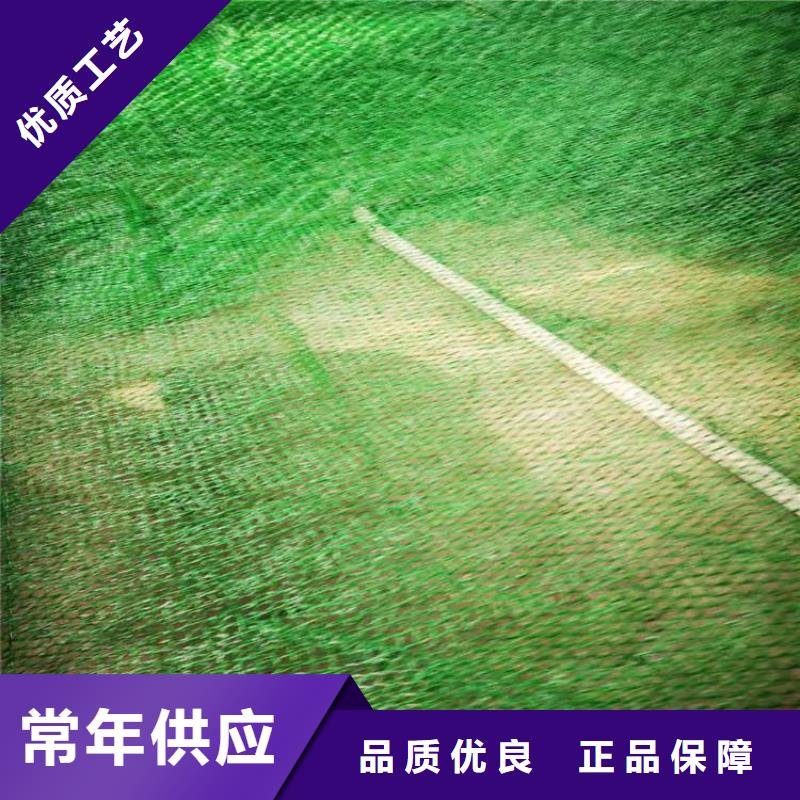 三维植被网塑料盲沟实力优品