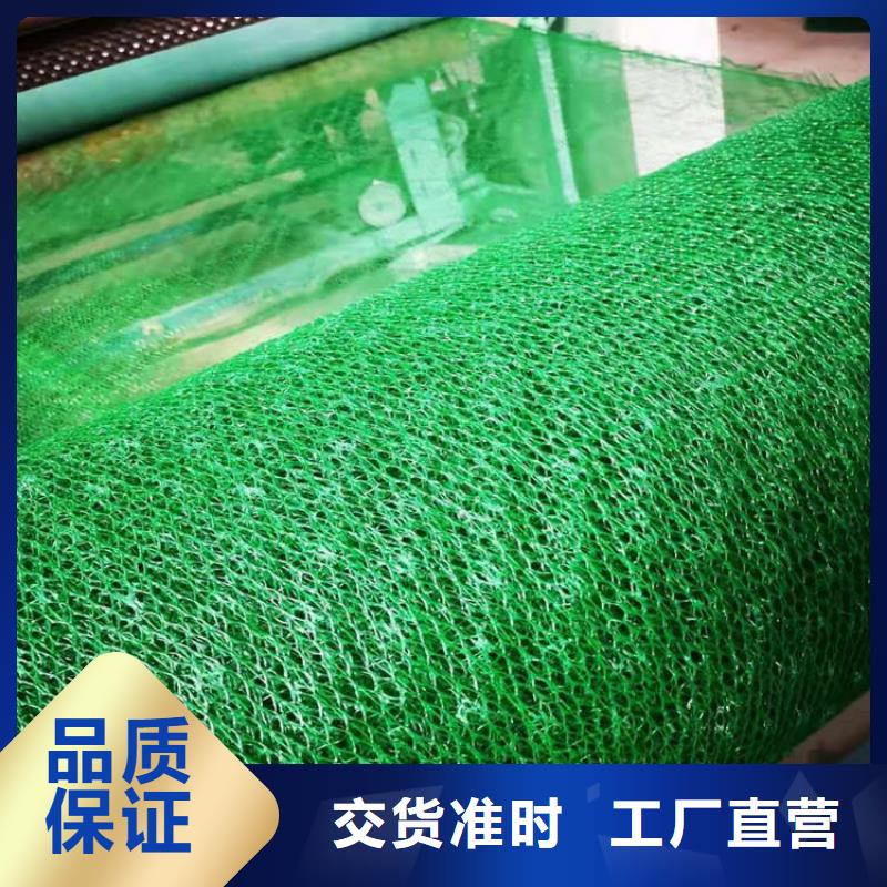 加筋塑料三维固土网垫