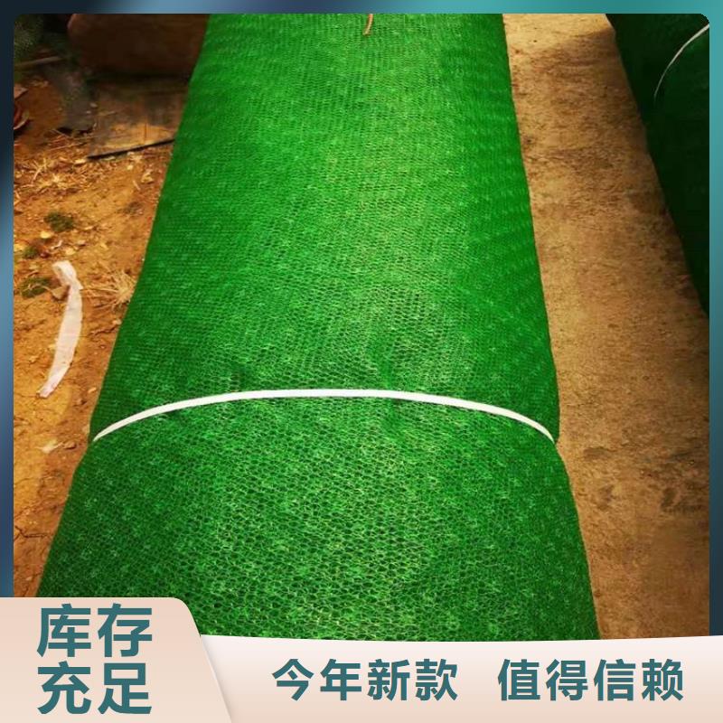 三维植草网垫护坡草皮