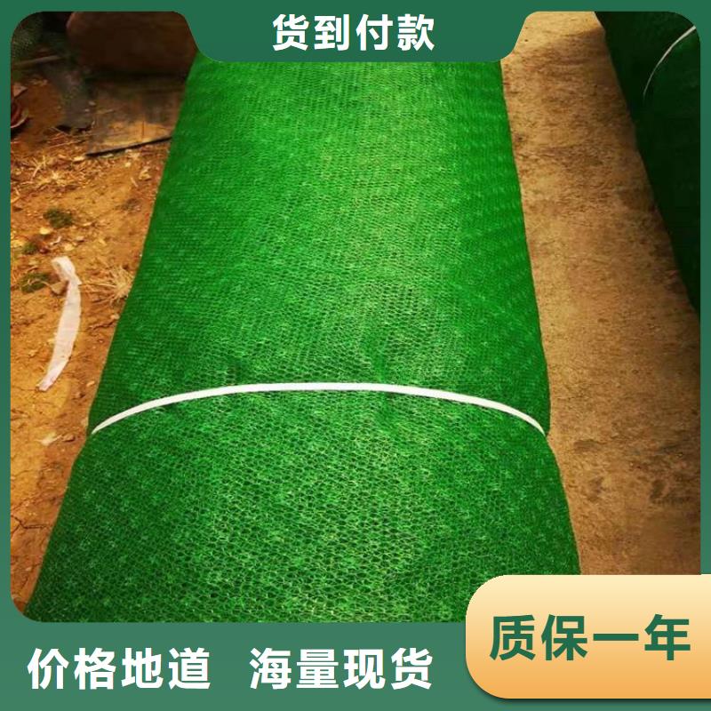 三维土工网垫厂家-销售