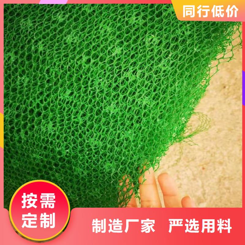 三维固土网垫EM3三维土工网垫