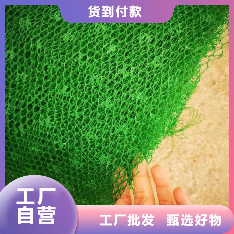 三维土工网垫供应商