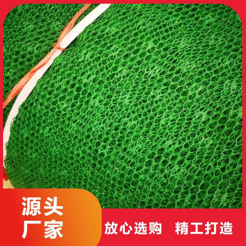 EM3三维加筋网垫来厂考察