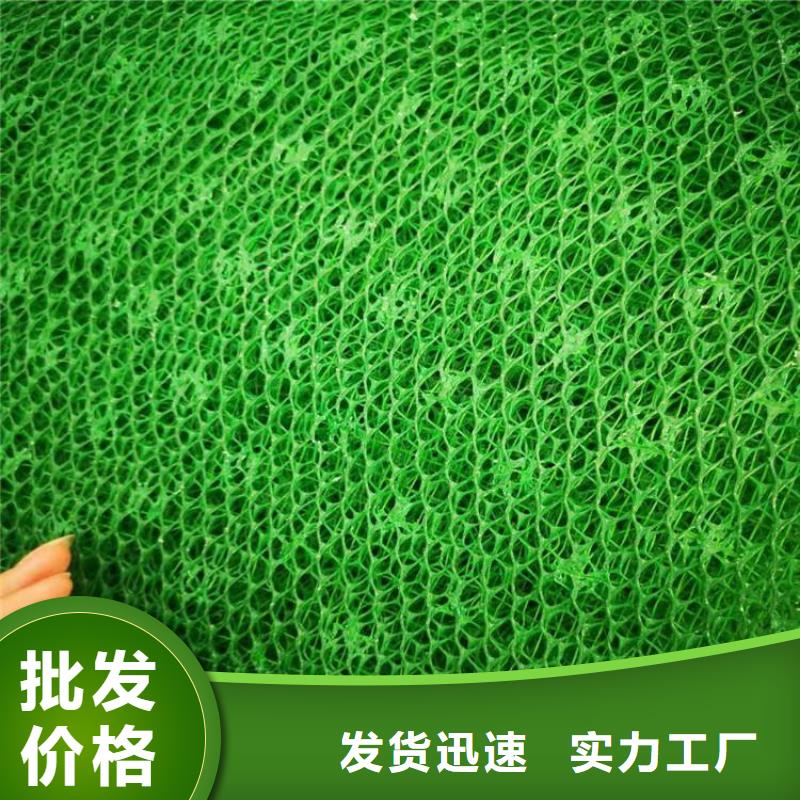 EM5三维护坡植草网垫-EM2三维植被网