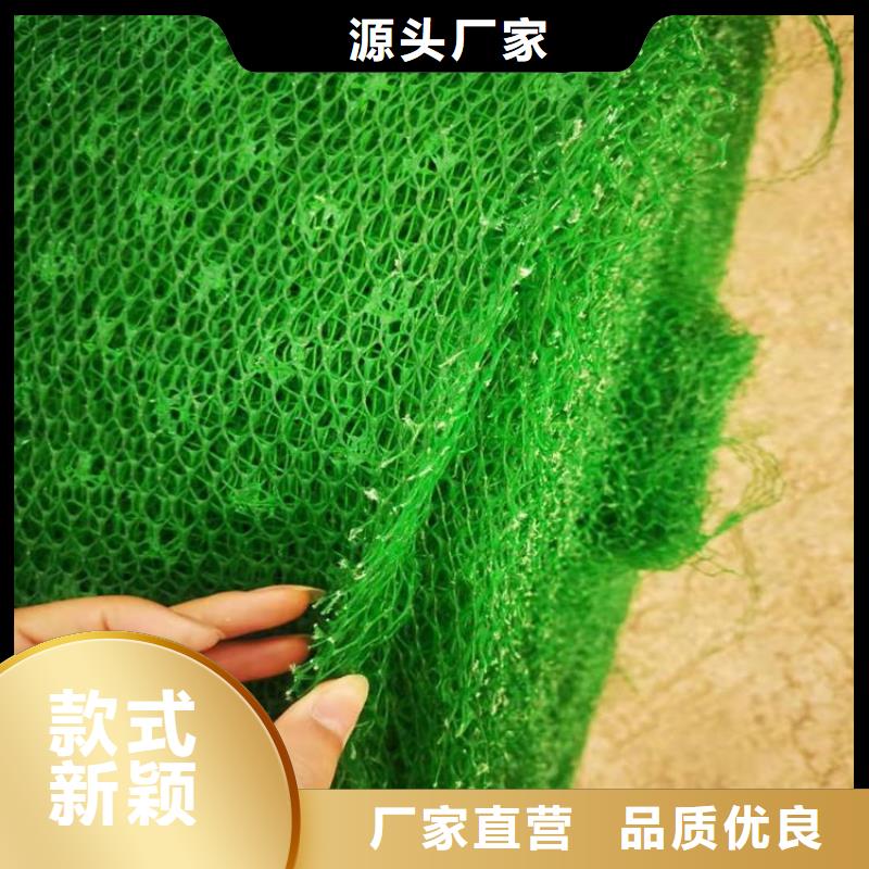 三维固土网垫EM3三维加筋网垫