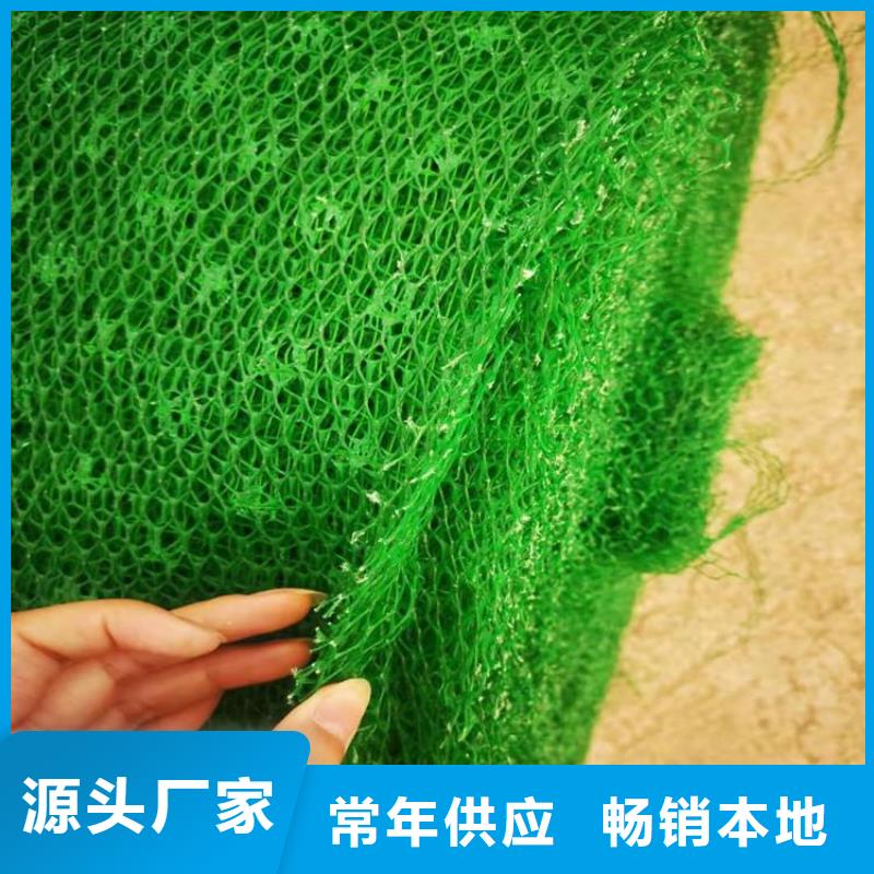 EM4三维护坡植草网垫-三维土工网垫