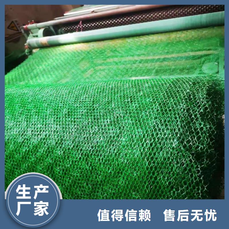 EM3三维加筋网垫-护坡三维土工网垫
