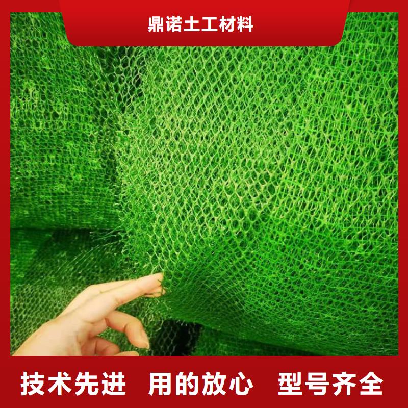 三维固土网垫市场批发
