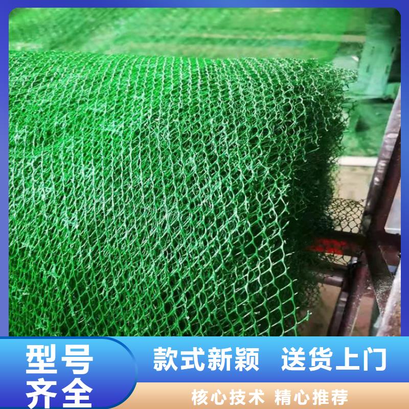 三维土工网垫-EM4三维护坡植草网垫