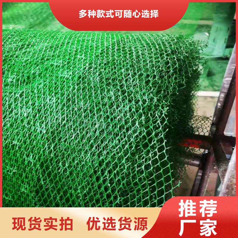 EM5三维护坡植草网垫-EM2三维植被网