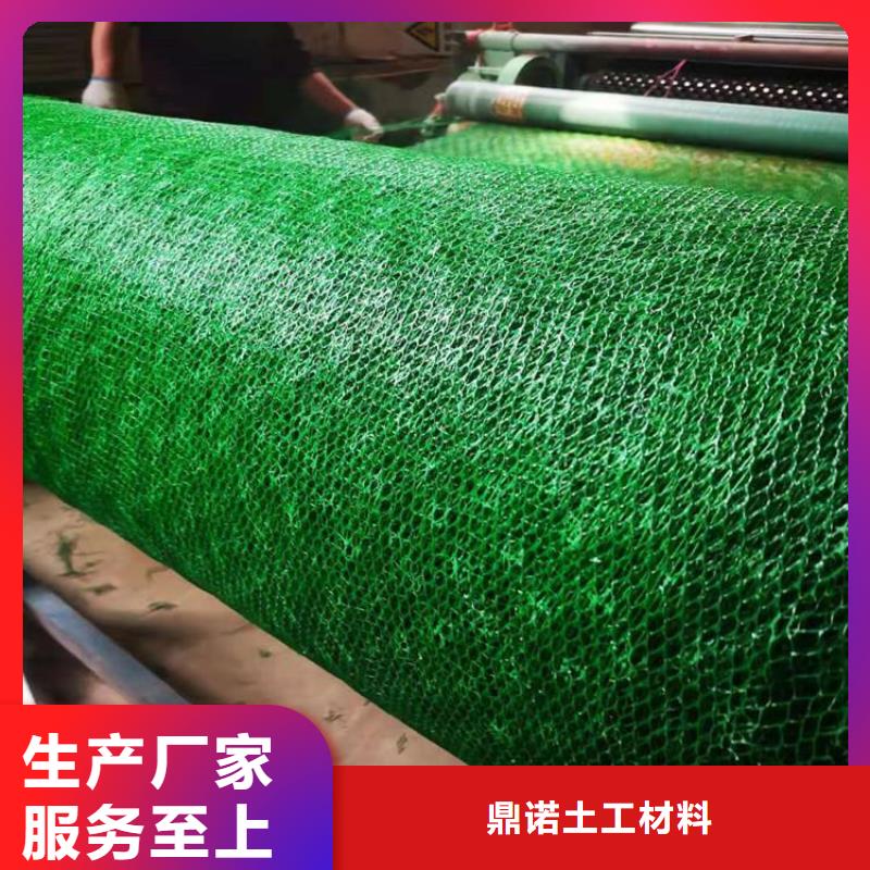 三维植被网拉筋带安心购