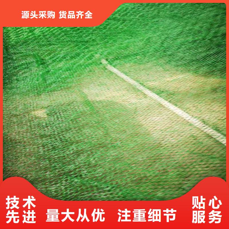护坡植被植草网EM5边坡