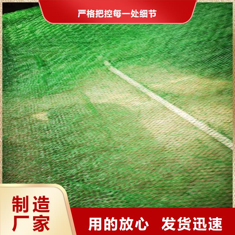 三维固土网垫EM4三维护坡植草网垫