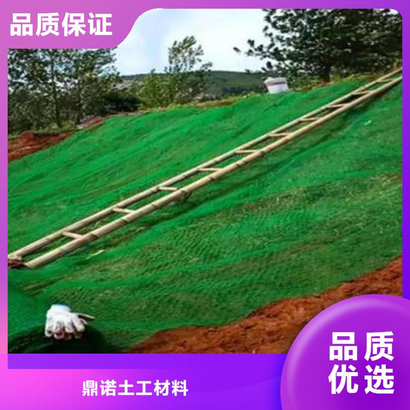 三维固土网垫EM4三维护坡植草网垫