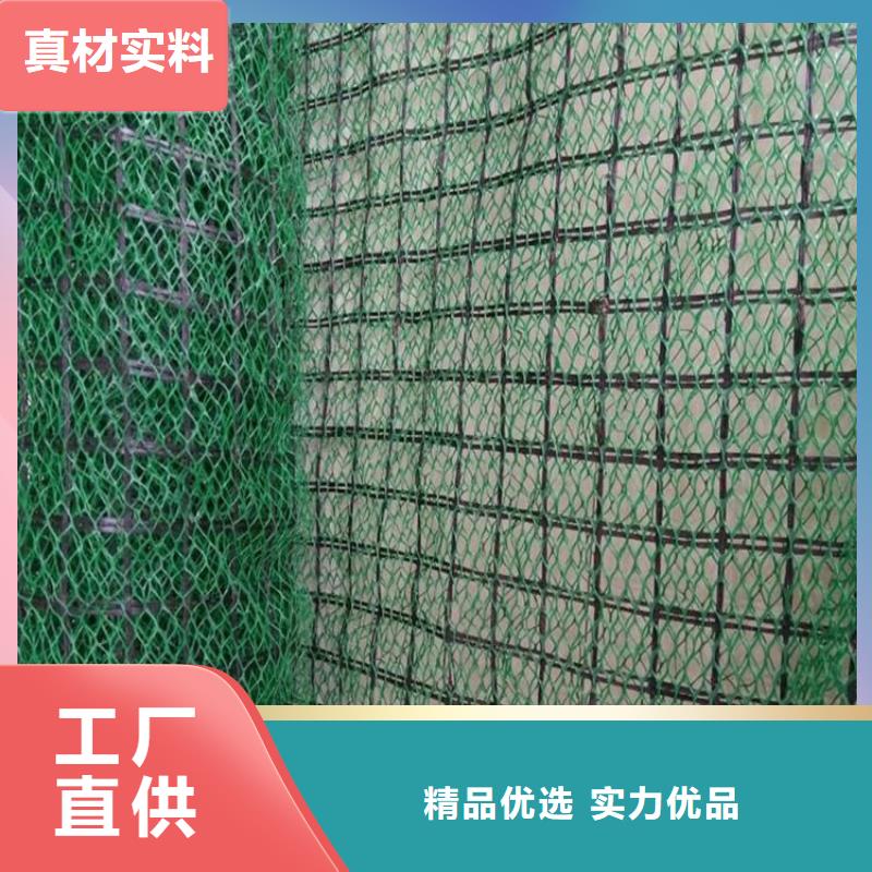 三维土工网垫层层检测