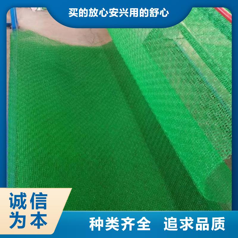 三维土工网垫层层检测
