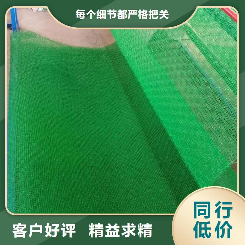 EM5三维加筋网垫