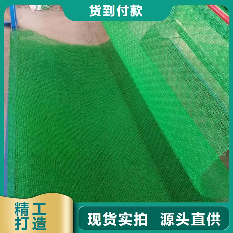 三维固土网垫EM3三维土工网垫