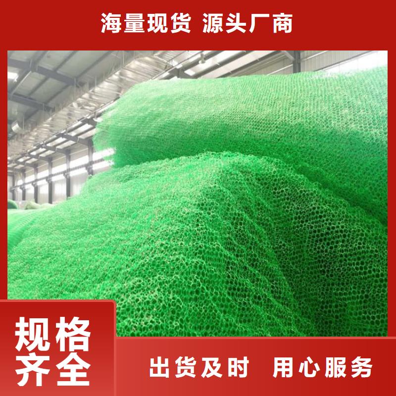 三维植被网厂家-量大从优