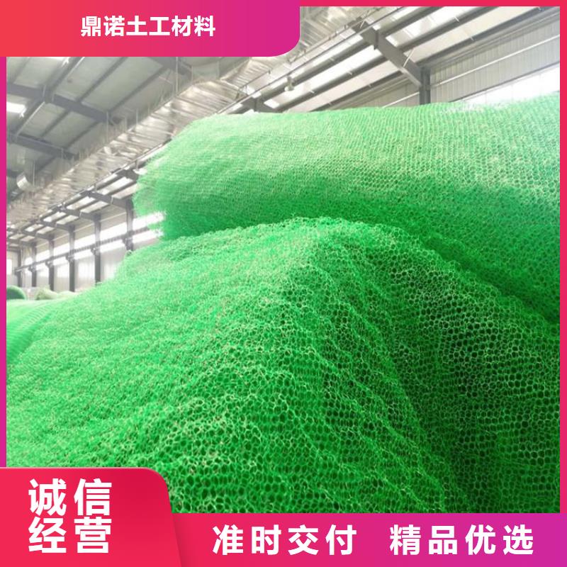 三维土工网垫供应商