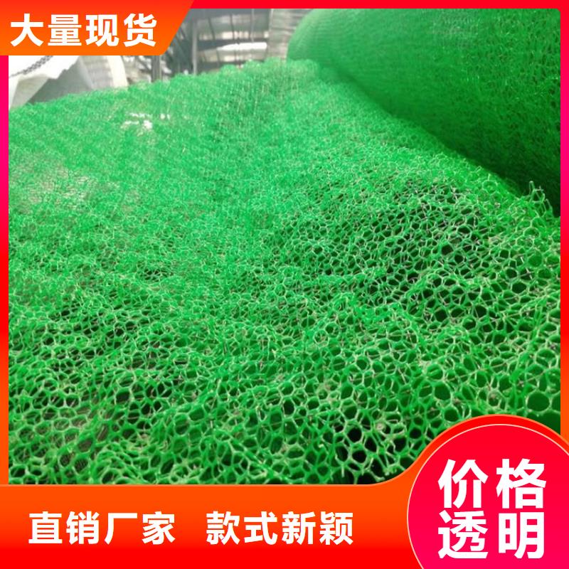 绿化固土三维植被网