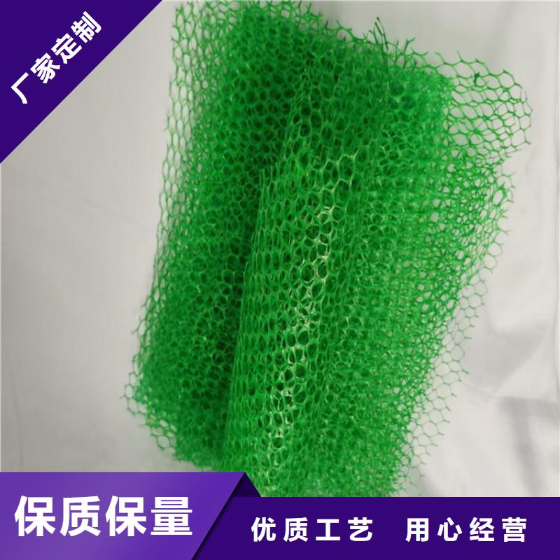 EM4三维护坡植草网垫