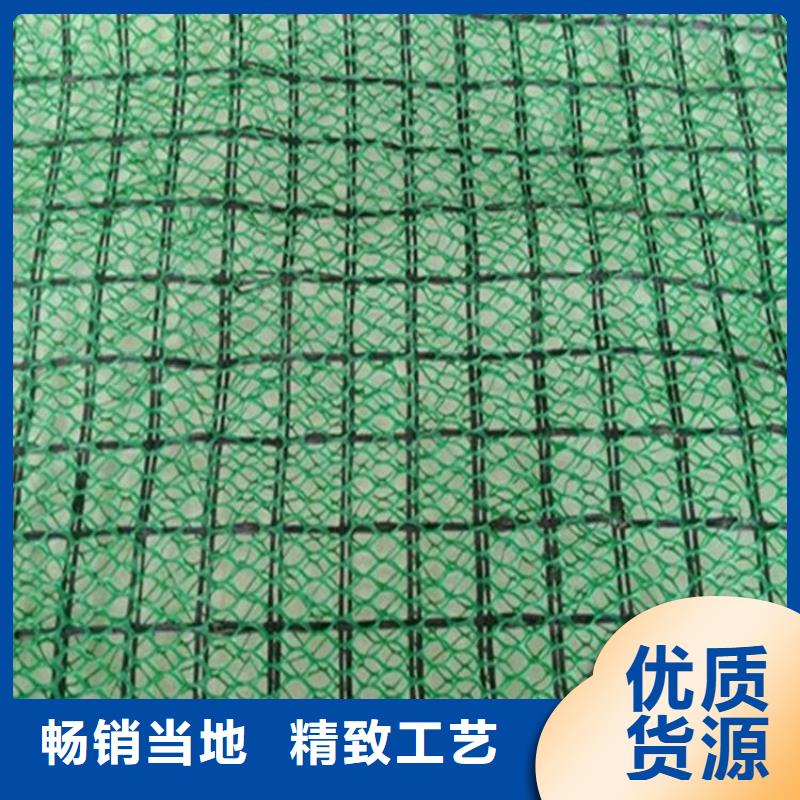 EM3三维加筋网垫