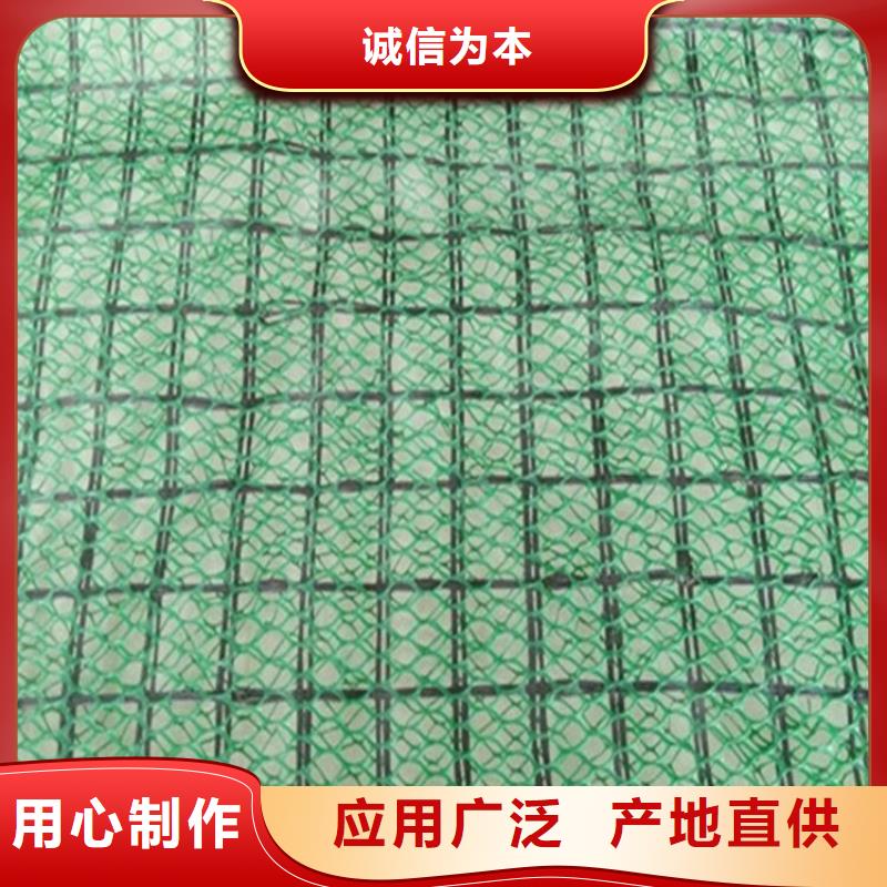三维固土网垫EM3三维加筋网垫