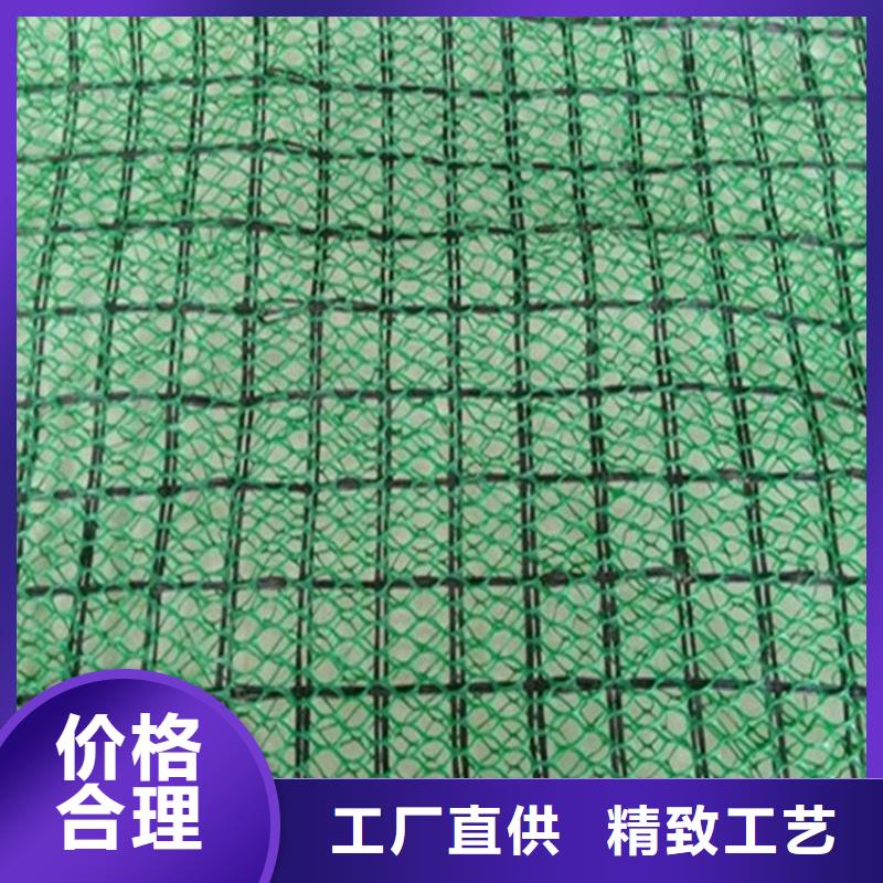 三维固土网垫-三维网植草护坡