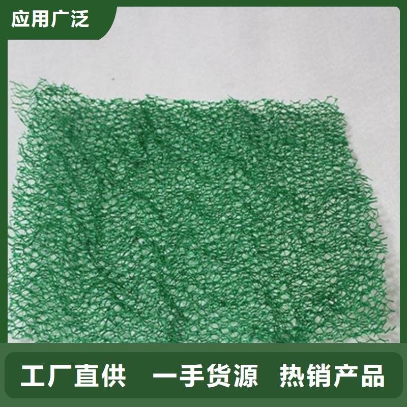 三维土工网垫-EM4三维固土网垫