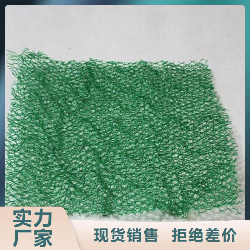 加筋塑料三维固土网垫