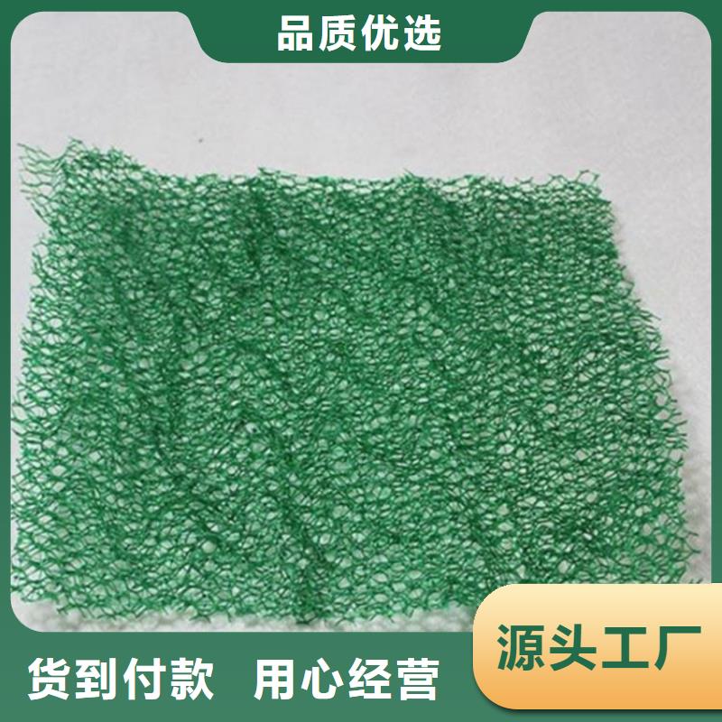 EM5绿化三维土工网垫