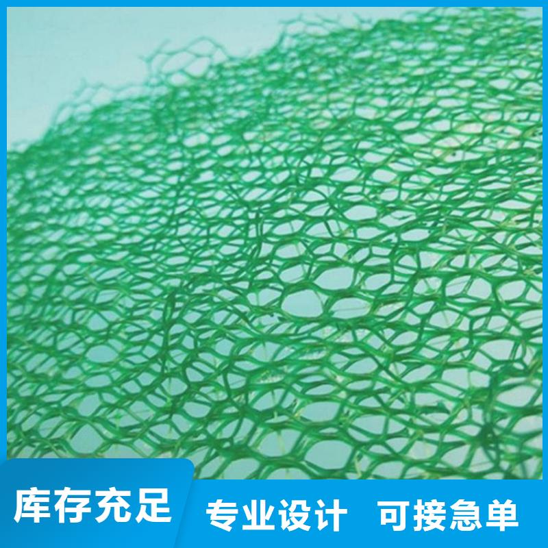 三维土工网垫-三维土工网垫