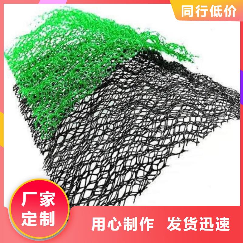 三维固土网垫EM3三维加筋网垫
