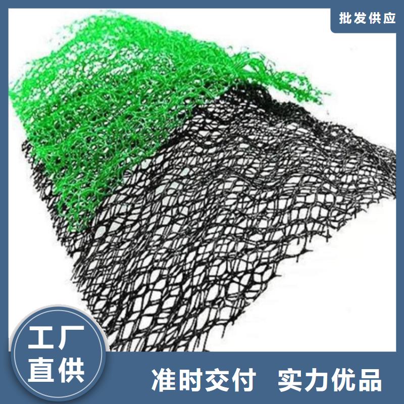 三维植被网厂家现货