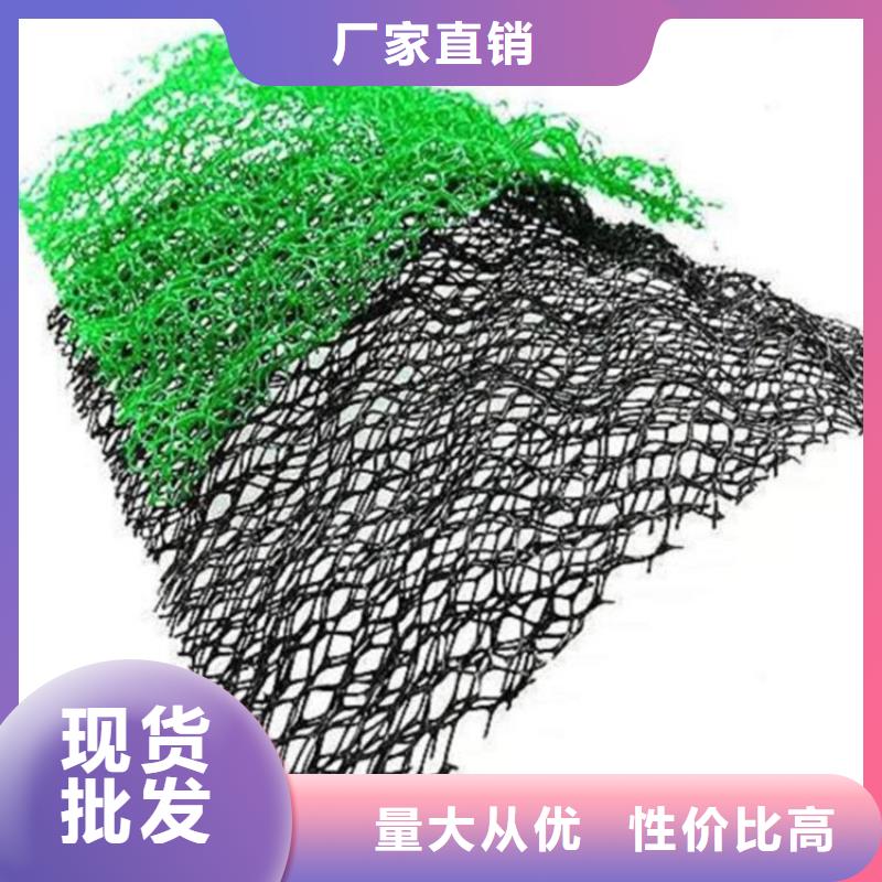 三维植被网复合膜厂家大量现货