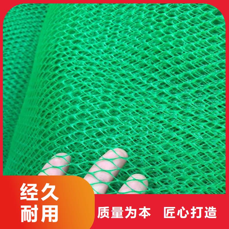 EM4三维固土网垫