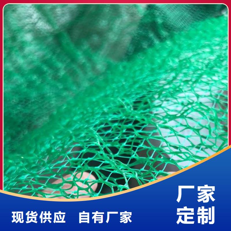 环保塑料三维土工网垫