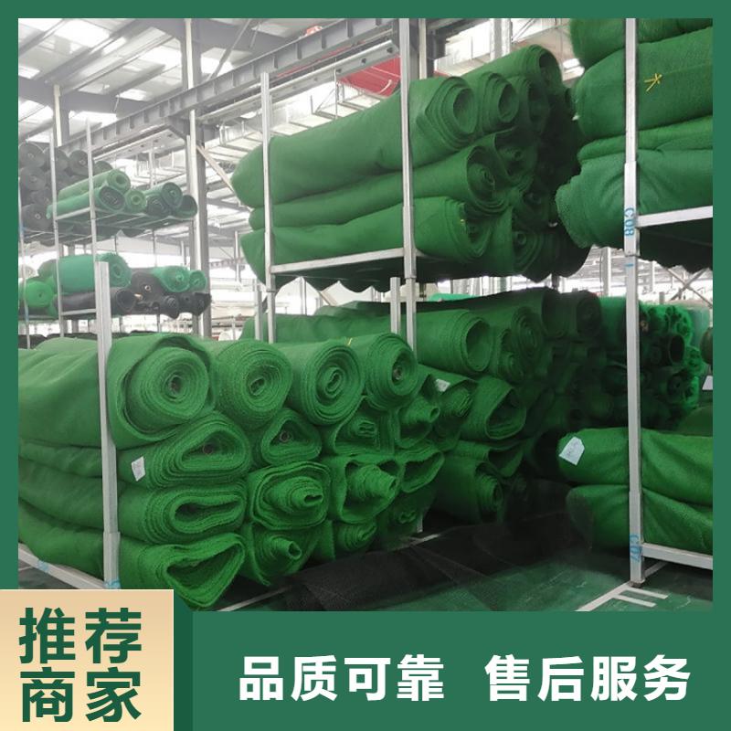 三维土工网垫-三维土工网垫