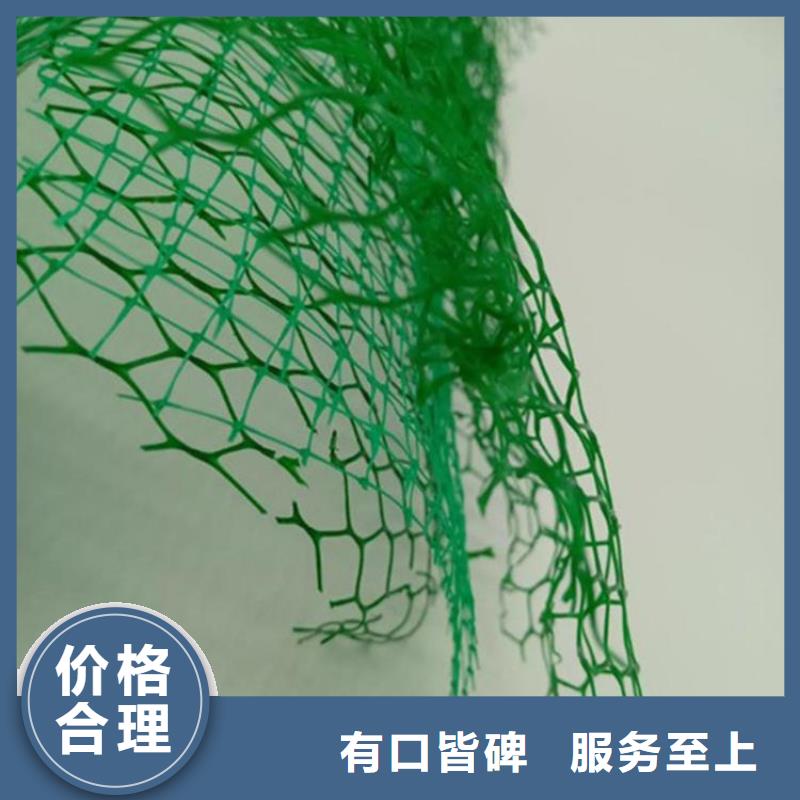 三维植被网-EM3三维土工网垫
