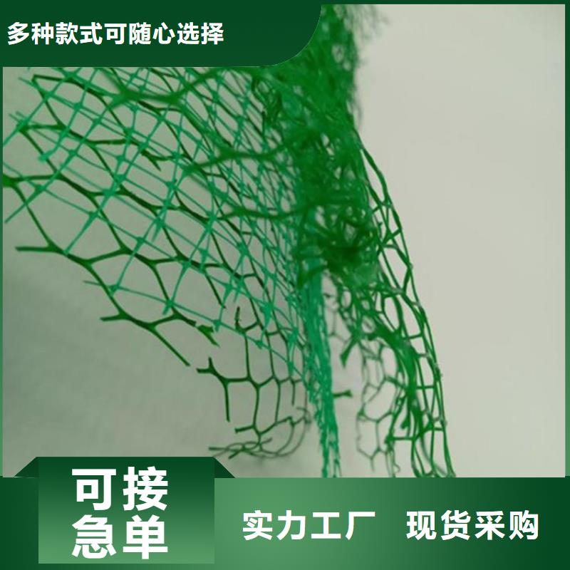 三维固土网垫EM3三维土工网垫