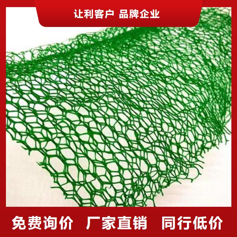 三维植被网复合膜厂家大量现货