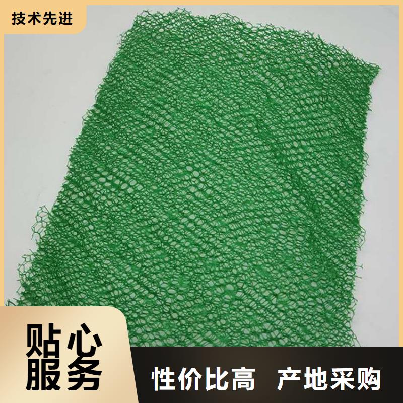 三维土工网垫-EM3三维加筋网垫