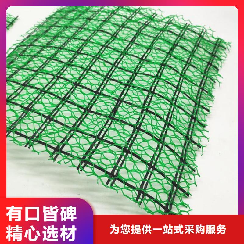 EM3三维加筋网垫-护坡三维土工网垫