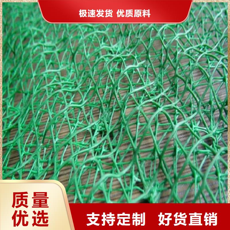 三维植被网-EM5三维加筋网垫