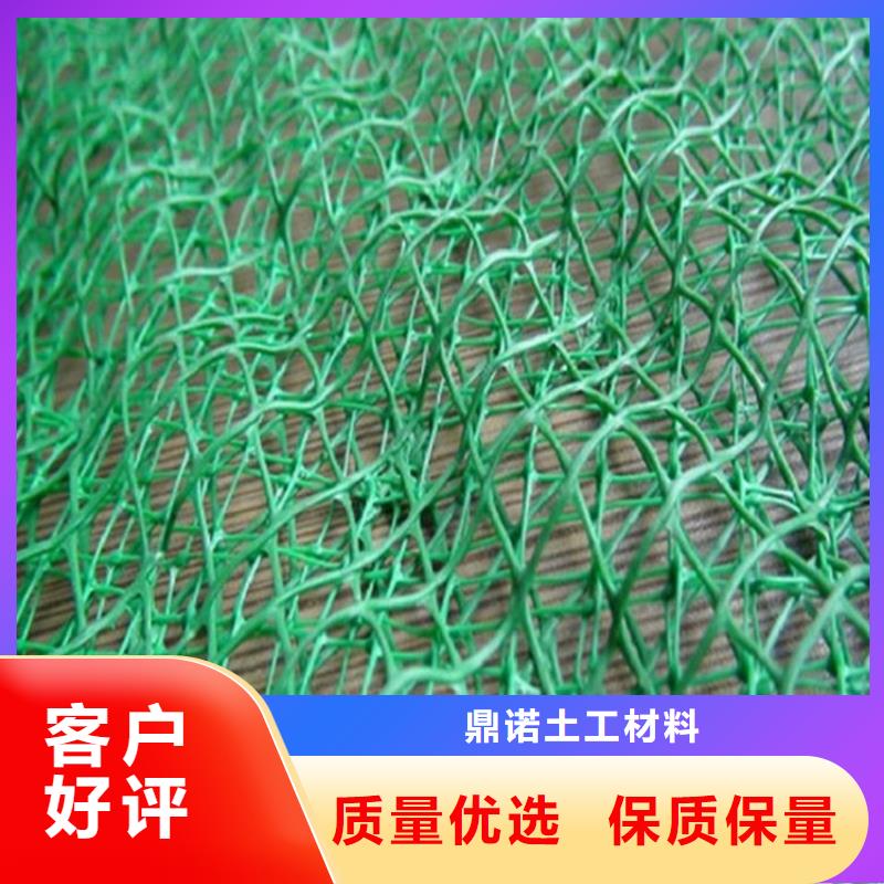三维植被网-EM4三维护坡植草网垫