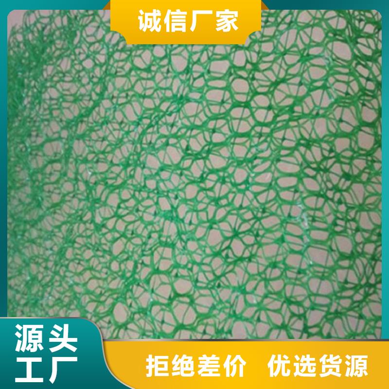 三维土工网垫-EM3三维土工网垫